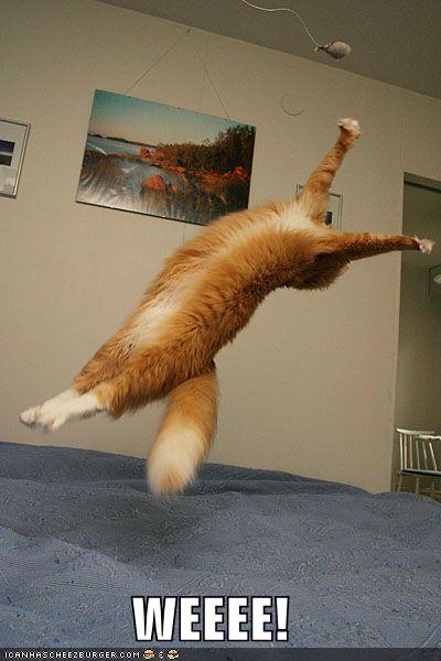 weeee128608434186193999